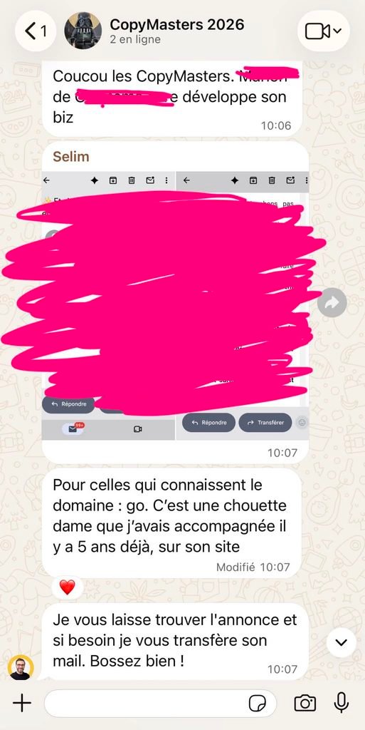 Proposition de mission reçue dans le cadre de la meilleure formation copywriting en français, Devenir copywriter 5 étoiles.