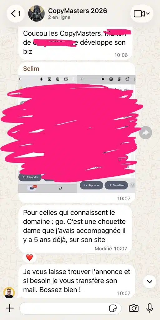 Proposition de mission reçue dans le cadre de la meilleure formation copywriting en français, Devenir copywriter 5 étoiles.